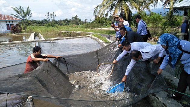       Home Sumbar   Lewat Kerja Sama Riset, BRPI Bertekad jadikan Pasaman Sentra Ikan Air Tawar di Sumatera