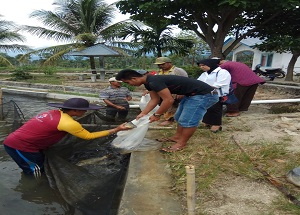 Bantuan Benih, Induk dan Pakan Ikan